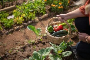 Organic Farming 