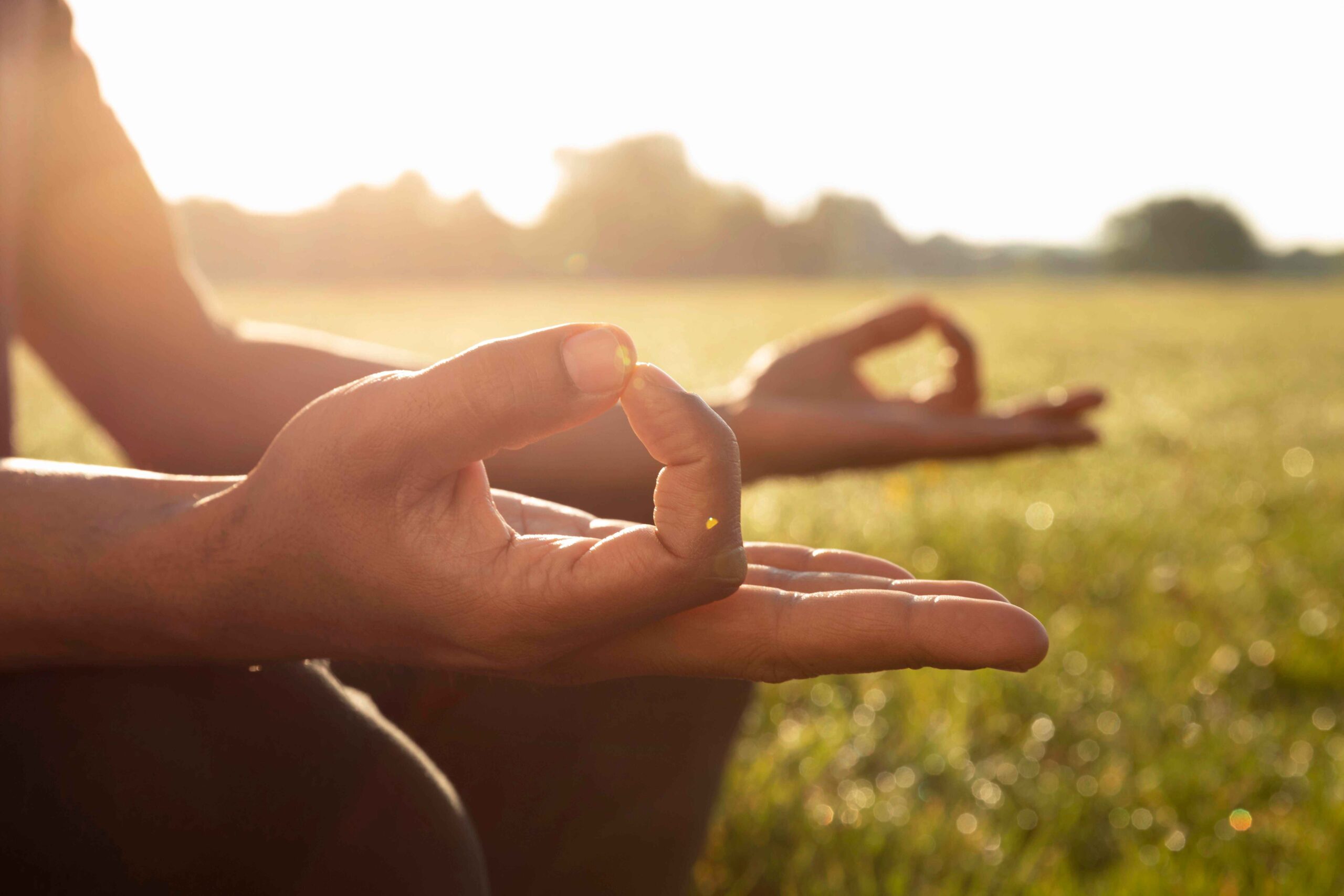 Meditation and Yoga