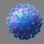 Human Metapneumovirus
