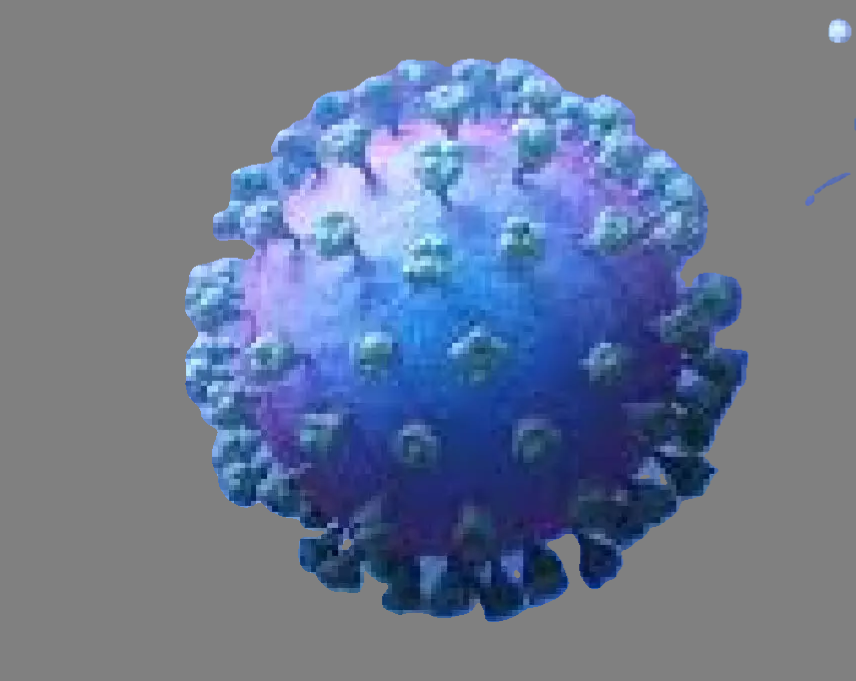 Human Metapneumovirus